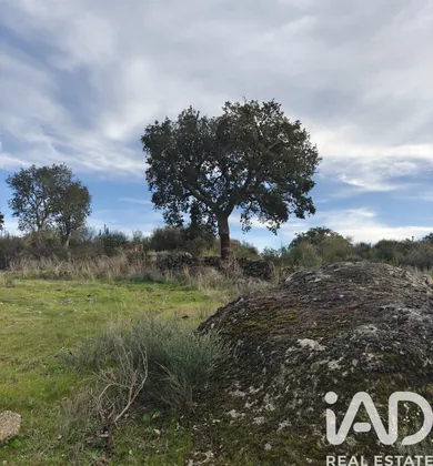 Land  in Castelo Branco