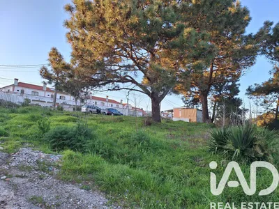 Fotografia 3 de Terreno rústico de 632 m² em SETUBAL