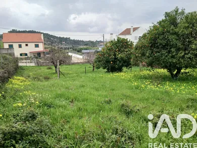 Terreno urbano  em Sobral do Campo