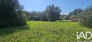 Terreno misto  em Aldeia da Tôr