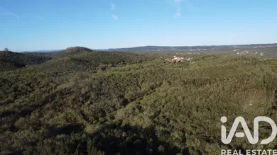 Land in Chãos