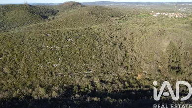 Land in Chãos