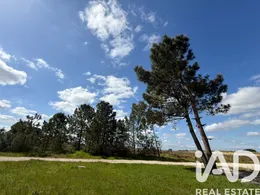 Farm land in Palmela