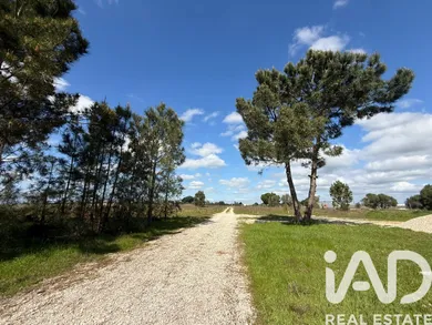 Terreno rústico em Palmela