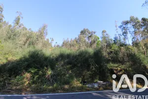 Terreno rústico  em Mouquim