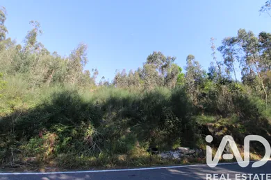 Terreno rústico  em Mouquim