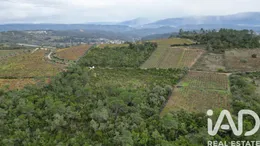Farm land in Condeixa-a-Nova