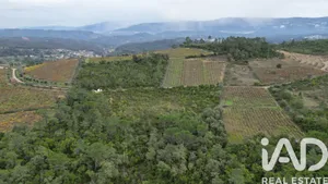 Farm land  in Condeixa-a-Nova