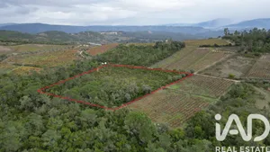 Farm land  in Condeixa-a-Nova