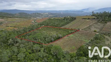 Farm land in Condeixa-a-Nova