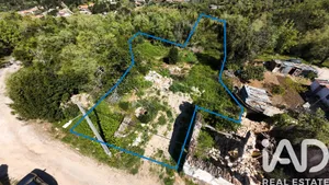 Farm land  in Ansião