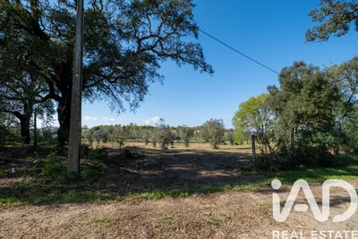 Fotografia 3 de Terreno de 4800 m² em Santa Comba Dao