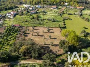 Land in Santa Comba Dao