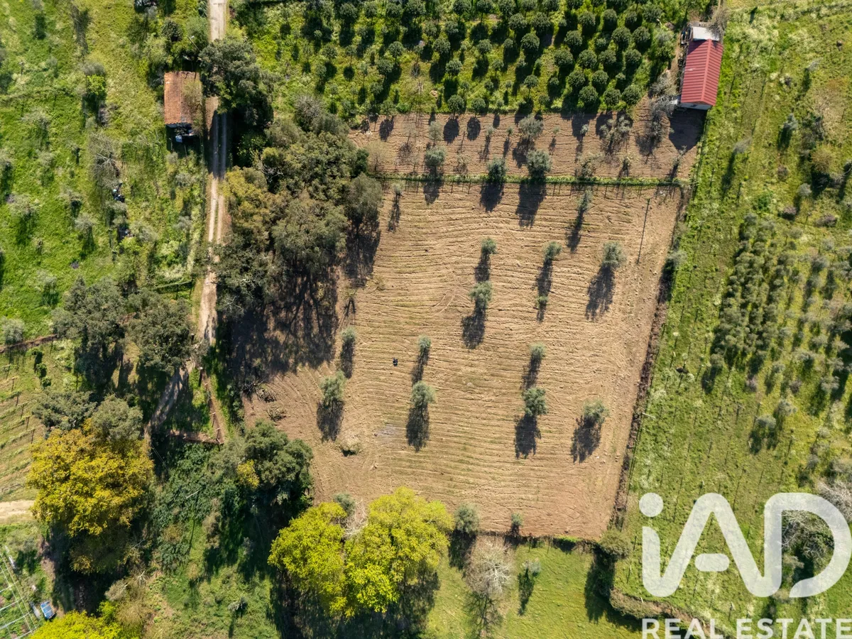 Terreno de 4800 m² em Santa Comba Dao