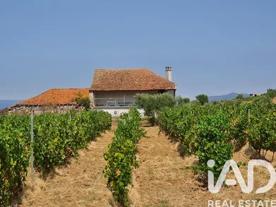 Farm in Vila Flor