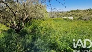 Terreno  em Porto de Mós