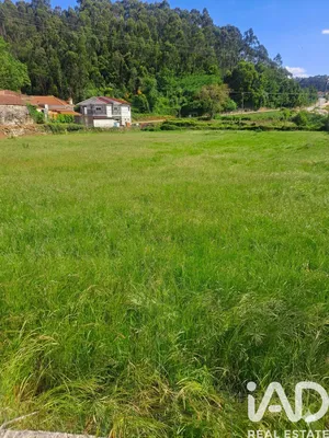 Terreno rústico  em Bustelo