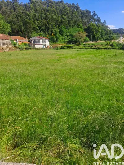 Fotografia 7 de Terreno de 11 819 m² em Lousada