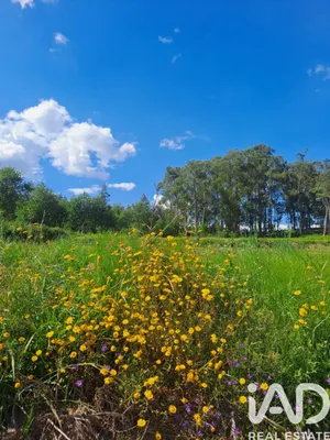 Terreno rústico  em Bustelo