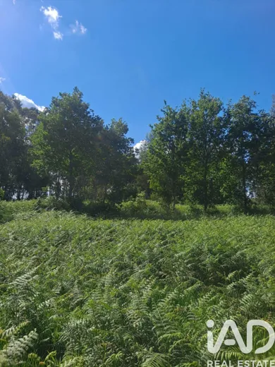 Farm land in Bustelo