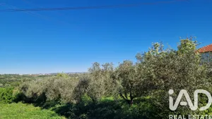 Terreno  em Porto de Mós