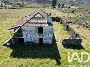 Quinta  em Vilas Boas