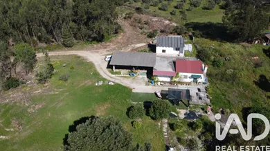 Terreno  em Amiais de Baixo