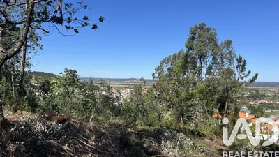 Fotografia 3 de Terreno rústico de 3040 m² em Coimbra