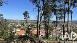 Terrain agricole à Coimbra