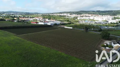 Fotografia 5 de Terreno rústico de 15 280 m² em Olhalvo