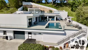 House in Vidais