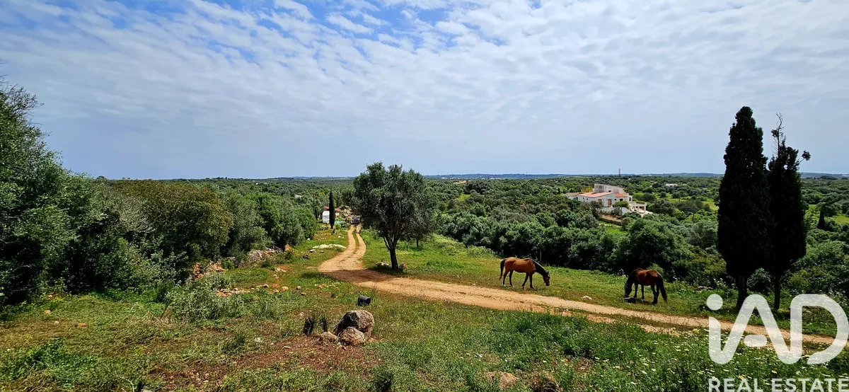 Terreno de 4400 m² em Barão de São Miguel