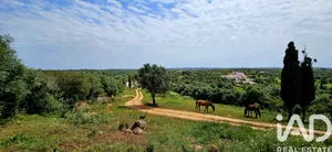 Terreno em Barão de São Miguel