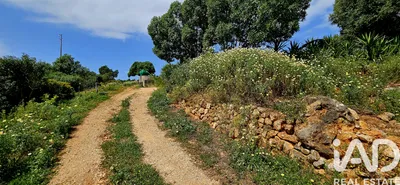 Fotografia 3 de Terreno de 4400 m² em Barão de São Miguel