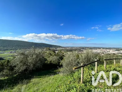 Terreno urbano em Porto de Mós