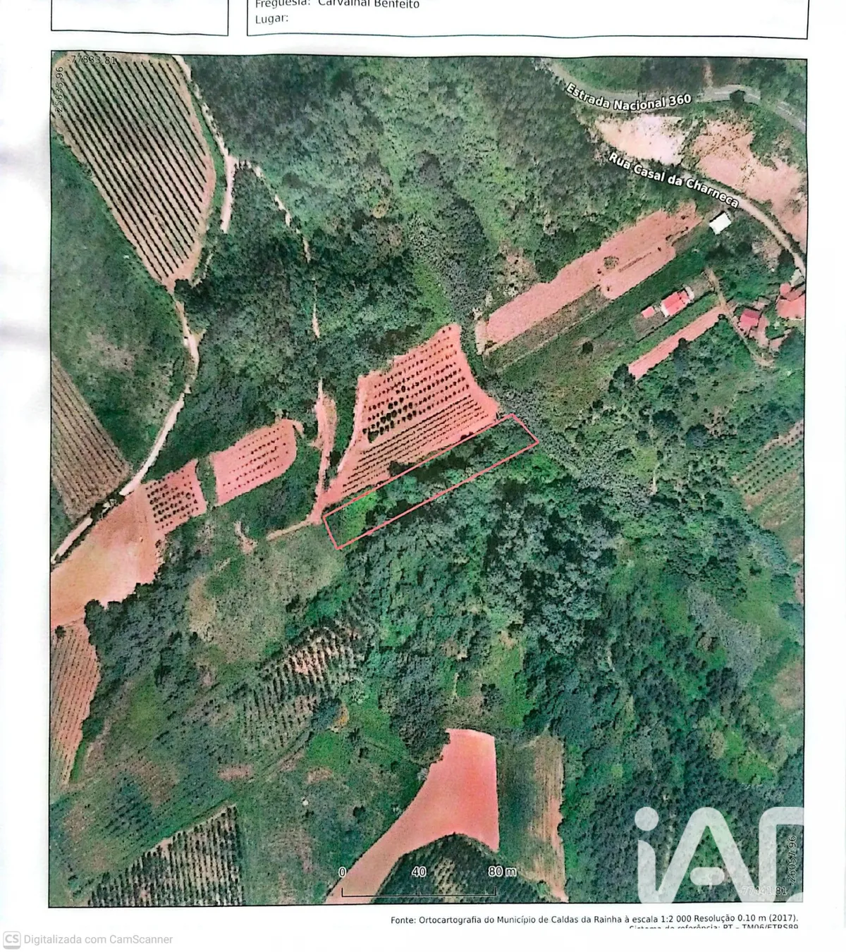 Terreno rústico de 2136 m² em Carvalhal Benfeito
