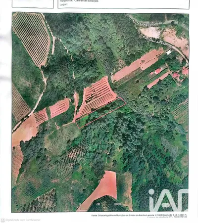 Fotografia 1 de Terreno rústico de 2136 m² em Carvalhal Benfeito