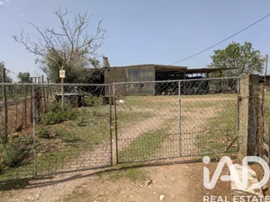 Terreno  em Estremoz