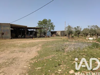 Terreno em Estremoz
