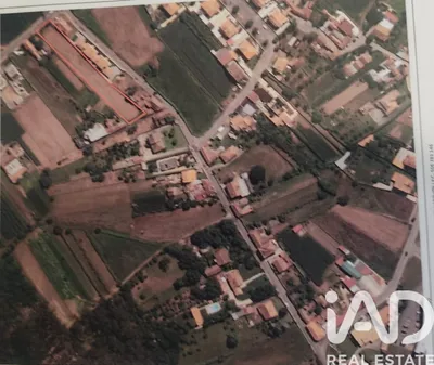 Fotografia 3 de Terreno rústico de 3000 m² em Albergaria-a-Velha