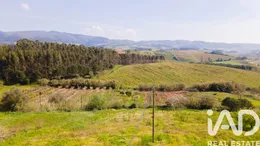 Terrain à bâtir  à Martim Joanes