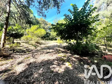 Building plot  in VIANA DO CASTELO