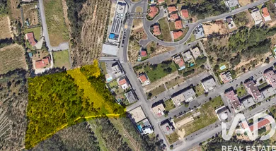 Farm land  in Leiria