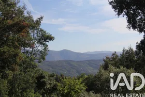 Terreno rústico  em Oliveira do Hospital