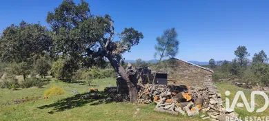 Quinta rural  em Castelo Branco