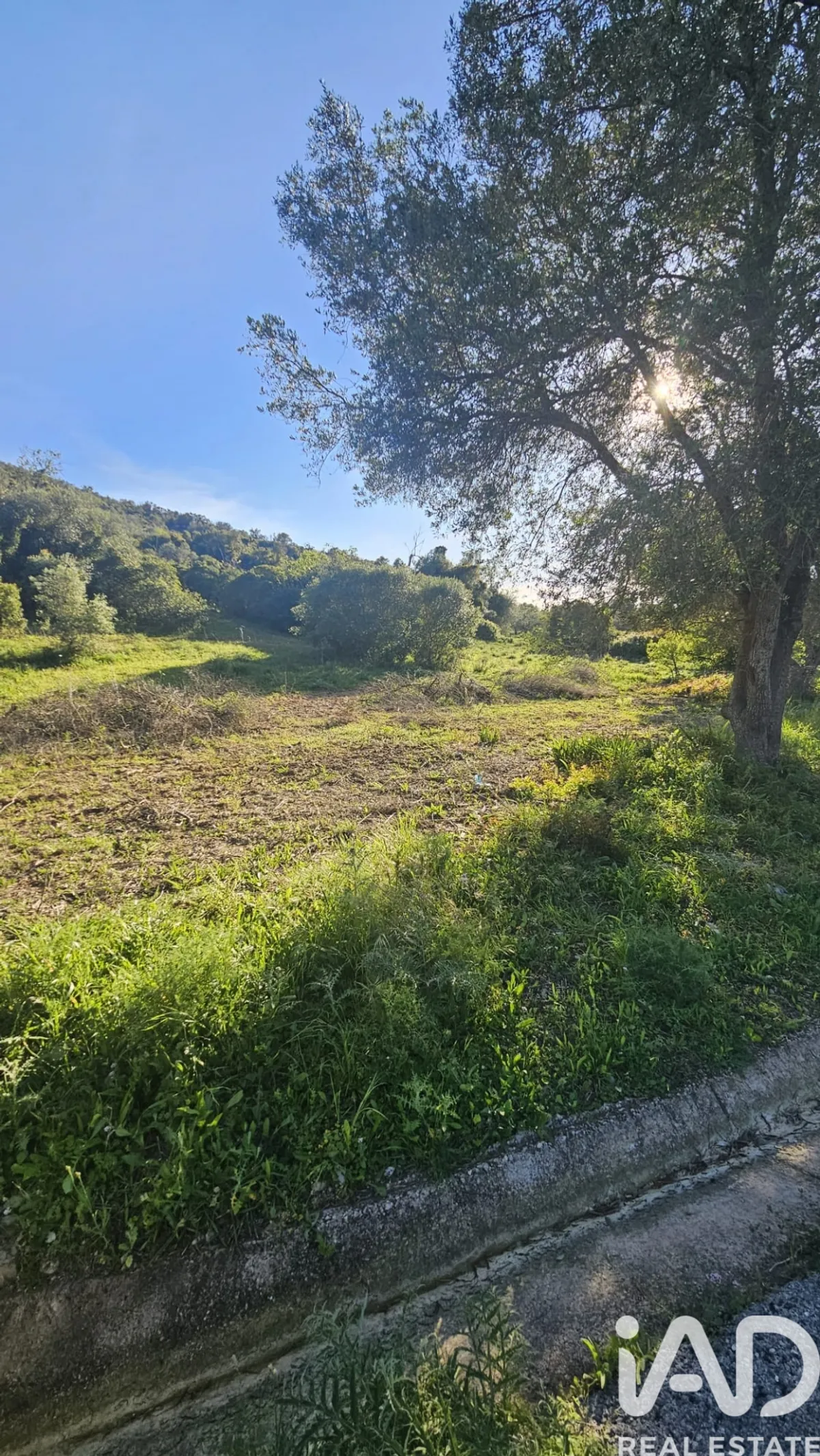 Terreno de 7500 m² em Loulé