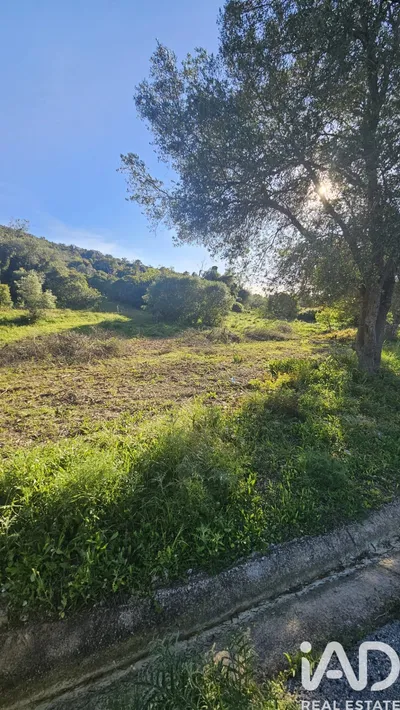 Fotografia 1 de Terreno de 7500 m² em Loulé