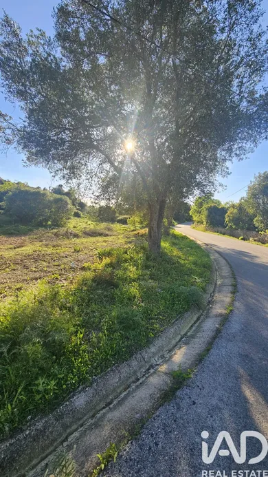 Terreno  em Loulé