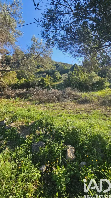 Terreno  em Loulé
