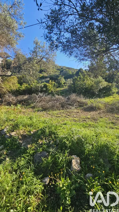 Fotografia 3 de Terreno de 7500 m² em Loulé